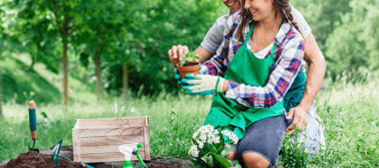 jardinage